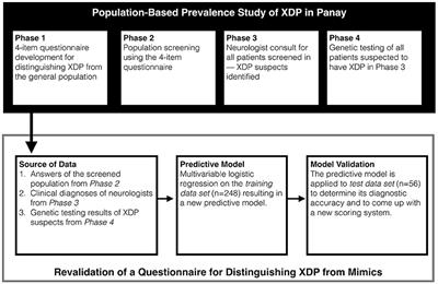 Validation of a Questionnaire for Distinguishing X-Linked Dystonia Parkinsonism From Its Mimics